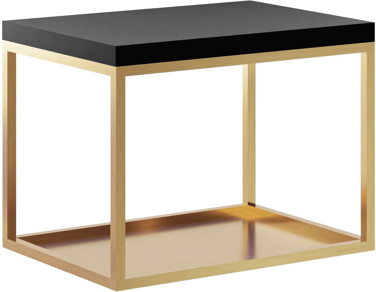 Baltica Design Hege Konsole 60x43x45 cm schwarz-gold 5904107906553