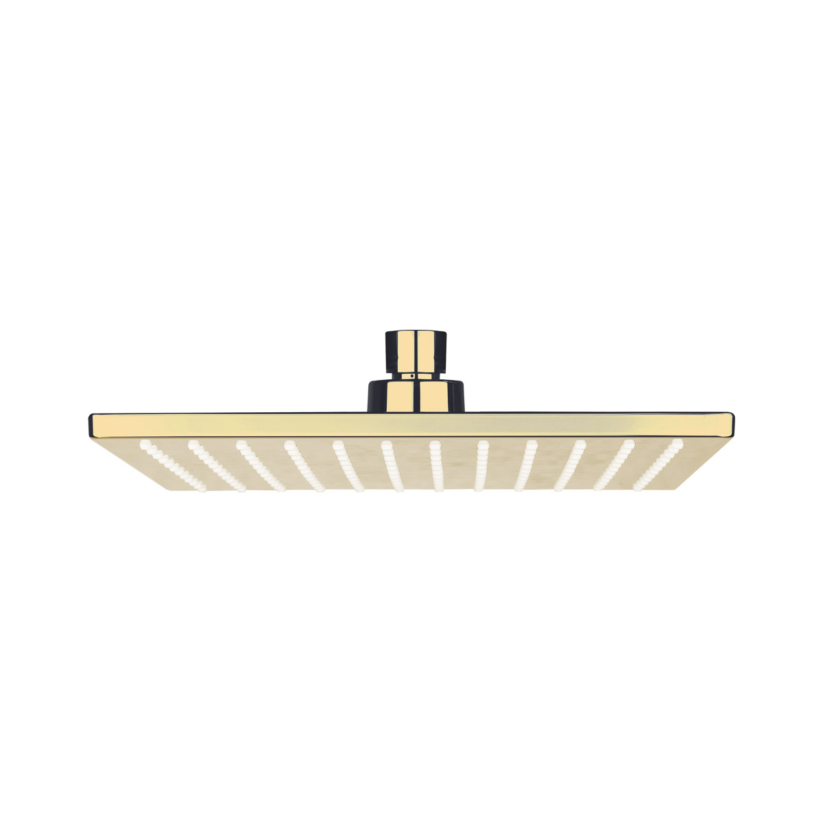 Oltens Atran Kopfbrause 22x22 cm quadratisch goldener Glanz 37005800