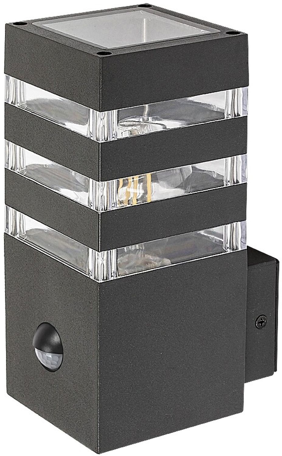 Rabalux Ankara Außenwandleuchte 1x12 W transparent-anthrazit 77025