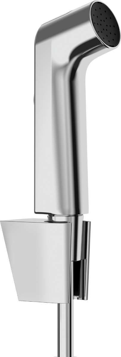 Hansgrohe Bidette Bidetbrause-Set Wandmontage chrom 29238000
