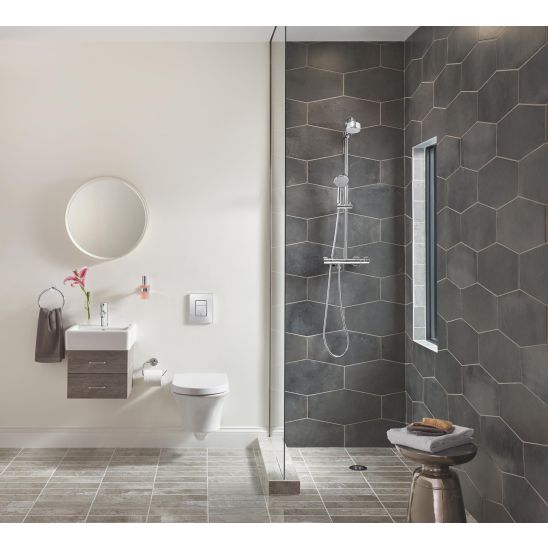 Set Toilettenbürstengarnitur Grohe Essentials 40374001, Betätigungsplatte Grohe Skate 38732000, 40367001, 40369001, 40365001, 40394001, 40364001