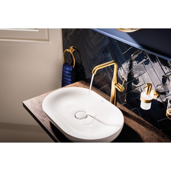 Set Betätigungsplatte Grohe Skate 38732GN0, Toilettenbürstengarnitur Grohe Essentials 40374GN1, 40367GN1, 40369GN1, 40365GN1, 40394GN1, 40364GN1