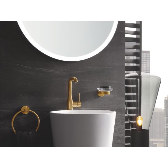 Set Betätigungsplatte Grohe Skate 38732GN0, Toilettenbürstengarnitur Grohe Essentials 40374GN1, 40367GN1, 40369GN1, 40365GN1, 40394GN1, 40364GN1
