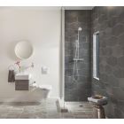 Set Toilettenbürstengarnitur Grohe Essentials 40374001, Betätigungsplatte Grohe Skate 38732000, 40367001, 40369001, 40365001, 40394001, 40364001