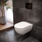 Set WC-Becken mit Absenkautomatik-Sitz Geberit Selnova Premium 502.793.00.1, Unterputzrahmen Tece Base 9400407, 9.240.400