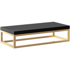 Baltica Design Bente Konsole 75x43x17 cm schwarz-gold 5904107906652