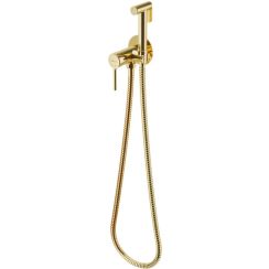 Excellent Pi bidetarmatur mit duschset Unterputz gold AREX.1204GL