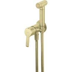 Deante Arnika Bidetarmatur mit Duschset Unterputz gold BQA_R34M